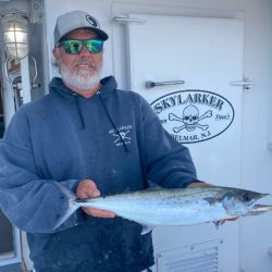 0989d5036e7b5686f0caeddb2654a03b