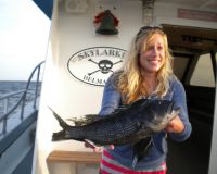 0ea5ae3f5ed31b3fad7f6b4a99ec6280