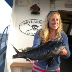 0ea5ae3f5ed31b3fad7f6b4a99ec6280