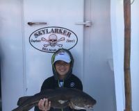 127a8988be474691cdfad8554582f01b