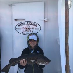 127a8988be474691cdfad8554582f01b