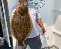 200b9a650a98c82c3744d9cb50ce99d5