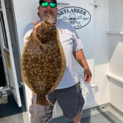 200b9a650a98c82c3744d9cb50ce99d5