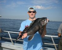 2ef89ce671ebd97b7214d8fa7aa6ad4e