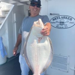 3aa71c7613152539b32c159308775b2a