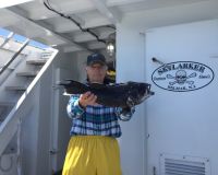 3ed3812a272beeba3b0043f7c8a78460