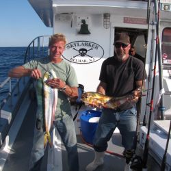 42bdf202a1cd75bc78aa202c4b8d15c0