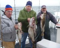 490ced9218603ecff8078e81281d0825