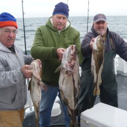 490ced9218603ecff8078e81281d0825