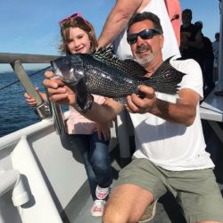 5c6831373b33ca65a344c6eec43d76e3