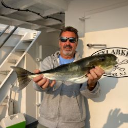 602900c7cc81ff28a21a738157444a1c