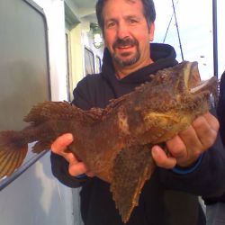 9aa402358d4961690060fdfc3cf90b09