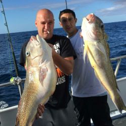 9bd63ea78426966799920d138e41f153