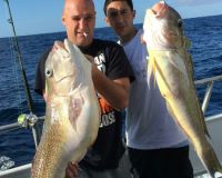 a92b97c3064211a2b9f637d0adafdce7