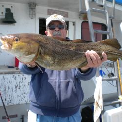 c014a276cdf2a4b5849c8835f1971674