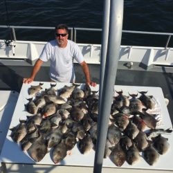 e3db55e929cee9cb4d591b57bad2f5d5