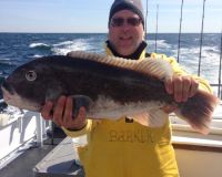 ebee75d14bda472f84a94dd7d9fa0985